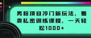 男粉项目冷门新玩法,售卖私密训练课程,一天轻松1000+【揭秘】-网赚项目众筹网