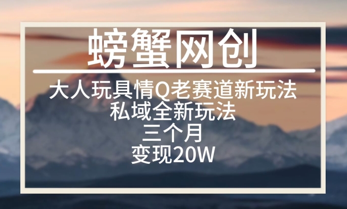 大人玩具情Q用品赛道私域全新玩法，三个月变现20W，老项目新思路【揭秘】-网赚项目众筹网