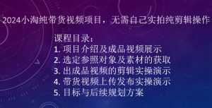 2024小淘纯带货视频项目,无需自己实拍纯剪辑操作-网赚项目众筹网