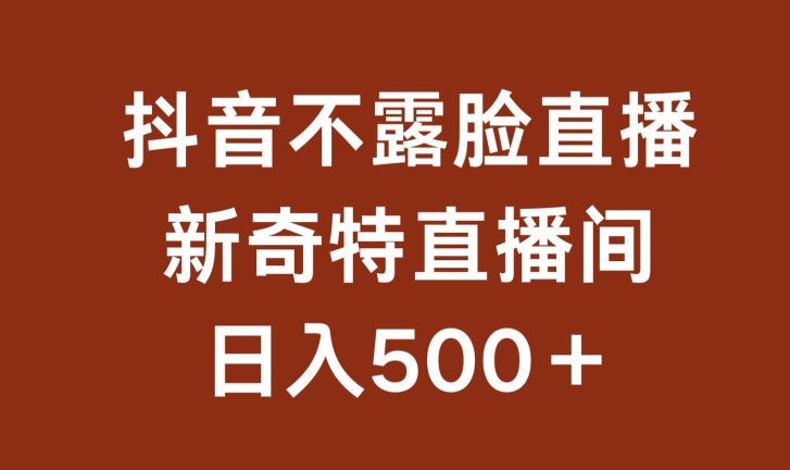 不露脸挂机直播，新奇特直播间，日入500+【揭秘】-网赚项目众筹网