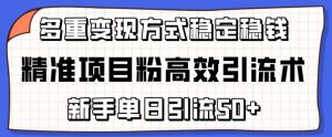 精准项目粉高效引流术，新手单日引流50+，多重变现方式稳定赚钱【揭秘】-网赚项目众筹网