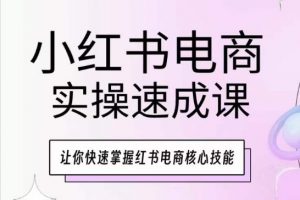 小红书电商实操速成课,让你快速掌握红书电商核心技能-网赚项目众筹网