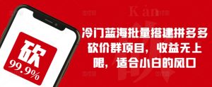 冷门蓝海批量搭建拼多多砍价群项目,收益无上限,适合小白的风口【揭秘】-网赚项目众筹网