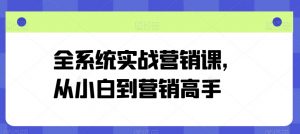 全系统实战营销课,从小白到营销高手-网赚项目众筹网