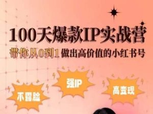 小红书100天爆款IP实战营，带你从0到1做出高价值的小红书号-网赚项目众筹网