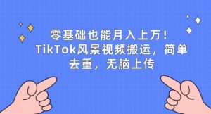 零基础也能月入上w,TikTok风景视频搬运,简单去重,无脑上传【揭秘】-网赚项目众筹网