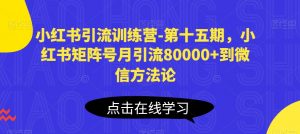 小红书引流训练营-第十五期,小红书矩阵号月引流80000+到微信方法论-网赚项目众筹网