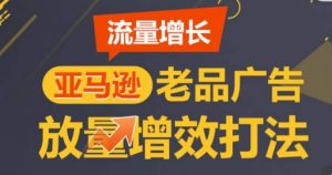 亚马逊流量增长-老品广告放量增效打法,循序渐进,打造更多TOP listing-网赚项目众筹网