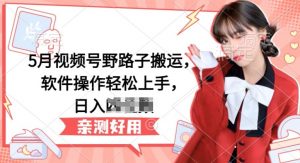 5月视频号野路子搬运,软件操作轻松上手,日入三位数【揭秘】-网赚项目众筹网