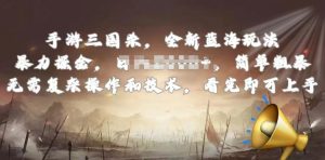 手游三国杀最新蓝海玩法，简单粗暴，无需复杂的操作和技术，看完即可上手【揭秘】-网赚项目众筹网