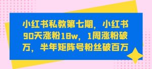 小红书私教第七期，小红书90天涨粉18w，1周涨粉破万，半年矩阵号粉丝破百万-网赚项目众筹网