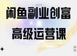 闲鱼电商运营高级课程,一部手机学会闲鱼开店赚钱-网赚项目众筹网