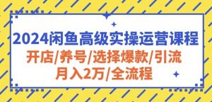2024闲鱼高级实操运营课程:开店/养号/选择爆款/引流/月入2万/全流程-网赚项目众筹网
