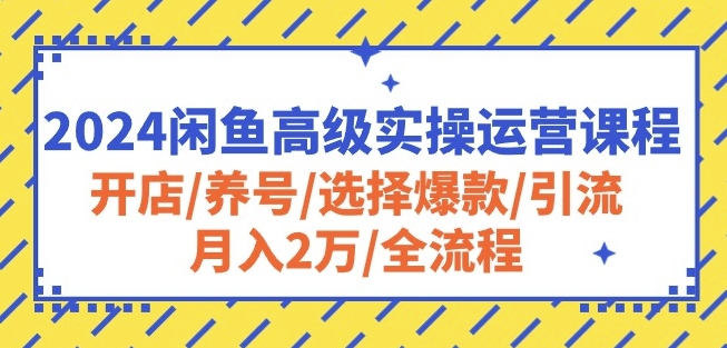2024闲鱼高级实操运营课程：开店/养号/选择爆款/引流/月入2万/全流程-网赚项目众筹网