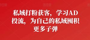 私域打粉获客，学习AD投流，为自己的私域囤积更多子弹-网赚项目众筹网