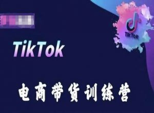 TikTok电商带货训练营,跟随时代潮流,跨境掘金-网赚项目众筹网
