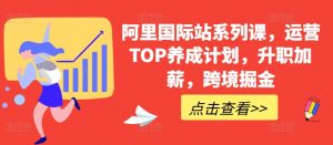阿里国际站系列课,运营TOP养成计划,升职加薪,跨境掘金-网赚项目众筹网