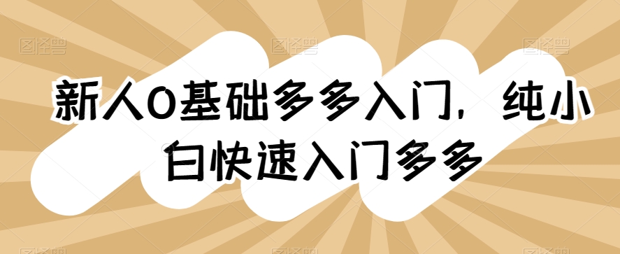 新人0基础多多入门，​纯小白快速入门多多-网赚项目众筹网