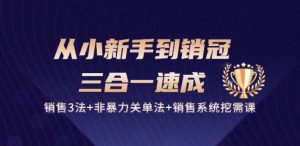 从小新手到销冠 三合一速成:销售3法+非暴力关单法+销售系统挖需课 (27节)-网赚项目众筹网