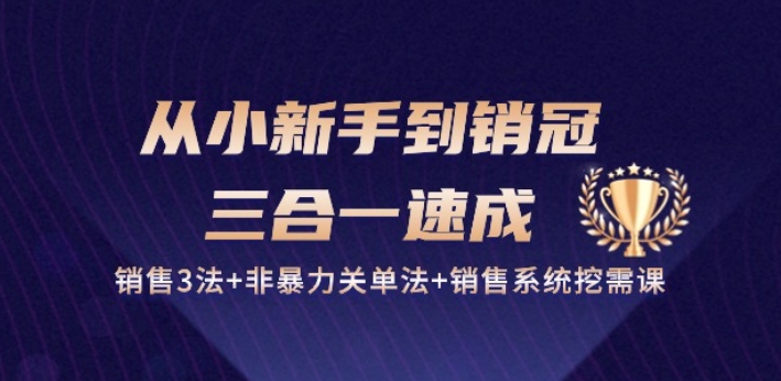 从小新手到销冠 三合一速成：销售3法+非暴力关单法+销售系统挖需课 (27节)-网赚项目众筹网