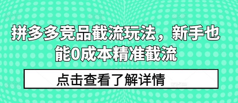 拼多多竞品截流玩法，新手也能0成本精准截流-网赚项目众筹网