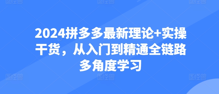 2024拼多多最新理论+实操干货，从入门到精通全链路多角度学习-网赚项目众筹网