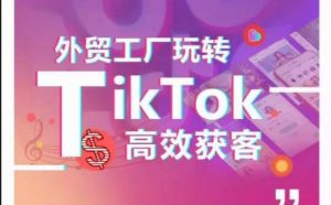 外贸工厂玩转TikTok高效获客，多种引流方式与账号定位技巧，拆解爆款短视频打造成功案例-网赚项目众筹网