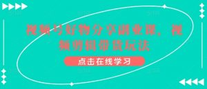 视频号好物分享副业课,视频剪辑带货玩法-网赚项目众筹网