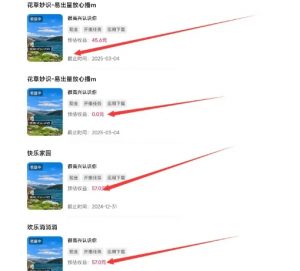 磁力聚星游戏副业陪跑训练营1.0,长期稳定项目,有人一周干了1K+-网赚项目众筹网