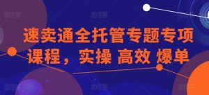 速卖通全托管专题专项课程，实操 高效 爆单-网赚项目众筹网