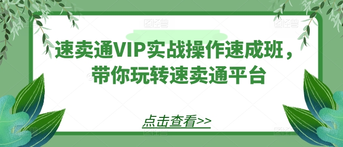 速卖通VIP实战操作速成班，带你玩转速卖通平台-网赚项目众筹网