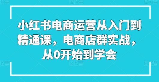 小红书电商运营从入门到精通课，电商店群实战，从0开始到学会-网赚项目众筹网