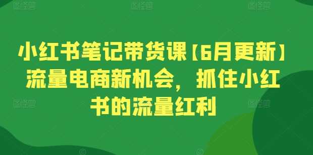小红书笔记带货课【6月更新】流量电商新机会，抓住小红书的流量红利-网赚项目众筹网