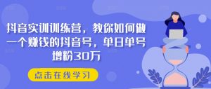 抖音实训训练营，教你如何做一个赚钱的抖音号，单日单号增粉30万-网赚项目众筹网