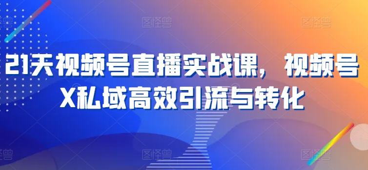 21天视频号直播实战课，视频号X私域高效引流与转化-网赚项目众筹网