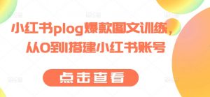 小红书plog爆款图文训练,从0到1搭建小红书账号-网赚项目众筹网