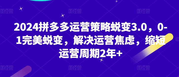 2024拼多多运营策略蜕变3.0，0-1完美蜕变，解决运营焦虑，缩短运营周期2年+-网赚项目众筹网