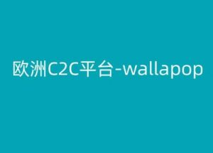 欧洲C2C平台-wallapop-kim跨境电商教程-网赚项目众筹网