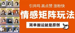 简单搬运,情感矩阵玩法,涨粉速度快,可带货,可起号【揭秘】-网赚项目众筹网