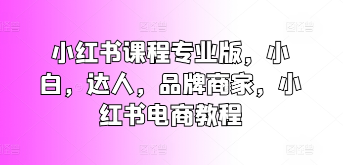 小红书课程专业版，小白，达人，品牌商家，小红书电商教程-网赚项目众筹网