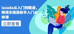 lazada从入门到精通,跨境东南亚新手入门必修课-网赚项目众筹网