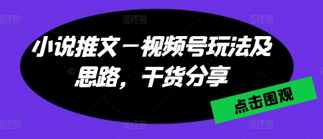 小说推文—视频号玩法及思路，干货分享-网赚项目众筹网