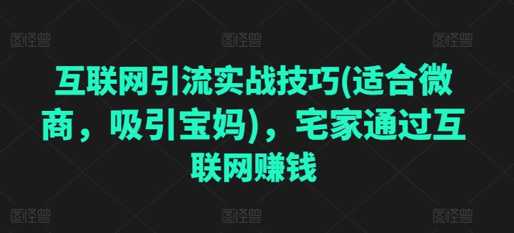 互联网引流实战技巧(适合微商，吸引宝妈)，宅家通过互联网赚钱-网赚项目众筹网