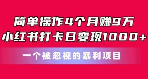 简单操作4个月赚9w,小红书打卡日变现1k,一个被忽视的暴力项目【揭秘】-网赚项目众筹网