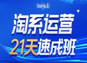 淘系运营24天速成班第28期最新万相台无界带免费流量-网赚项目众筹网