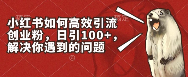 小红书如何高效引流创业粉，日引100+，解决你遇到的问题【揭秘】-网赚项目众筹网