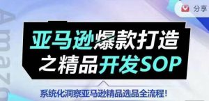 【训练营】亚马逊爆款打造之精品开发SOP,系统化洞察亚马逊精品选品全流程-网赚项目众筹网
