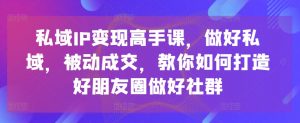 私域IP变现高手课，做好私域，被动成交，教你如何打造好朋友圈做好社群-网赚项目众筹网
