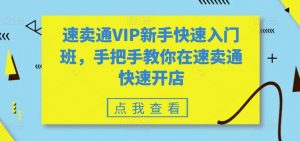 速卖通VIP新手快速入门班,手把手教你在速卖通快速开店-网赚项目众筹网