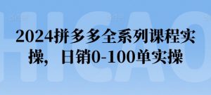 2024拼多多全系列课程实操，日销0-100单实操【必看】-网赚项目众筹网